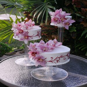 Home Products 03 Tourta3